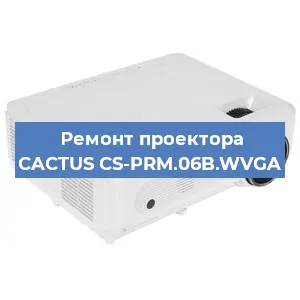Замена лампы на проекторе CACTUS CS-PRM.06B.WVGA в Воронеже